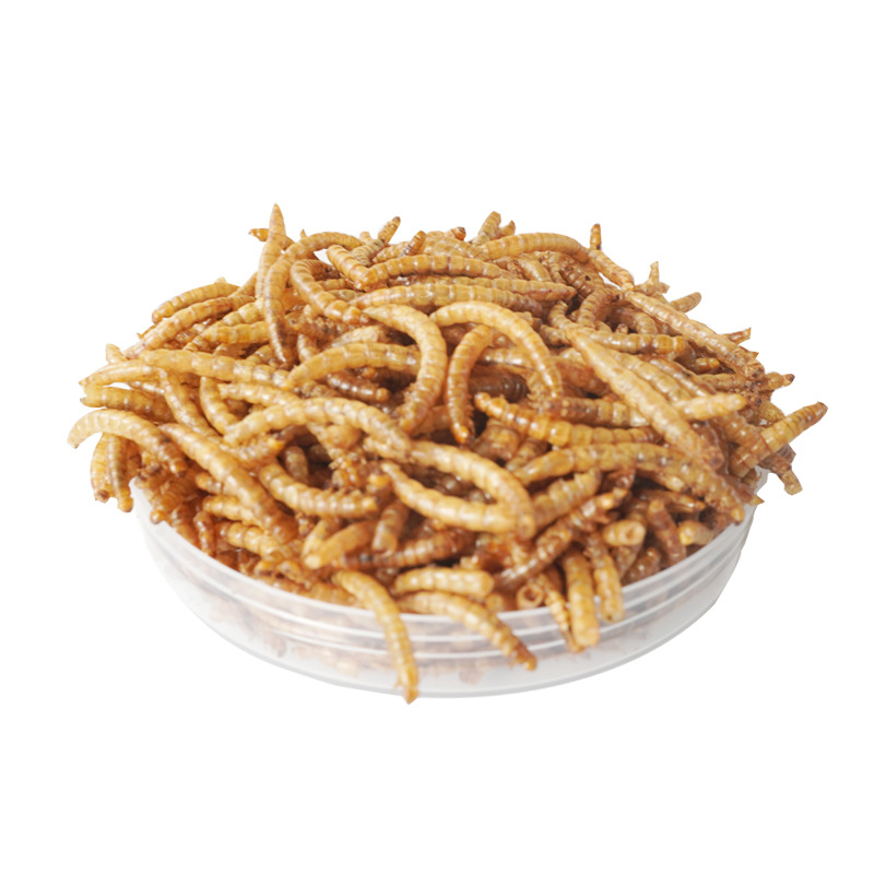 Hochprotein-Snacks für Hamster – Food Protein Snacks Bewertung und Preis